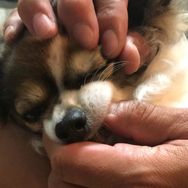 C76795bb 7250 4f8b 885f f552e00c9cca 1513346709904