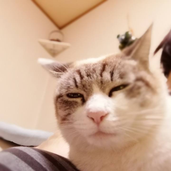 C7679a31 5979 466d 9f77 2e2e161d9f1c 1521210988832