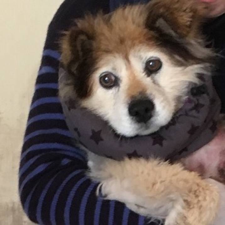 C7681c32 b06d 4d03 bf57 8984a70b6c49 1610814688394