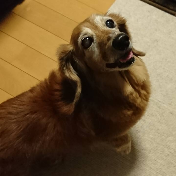 C7683bb7 ac07 4219 88be cec143db182d 1534096248419