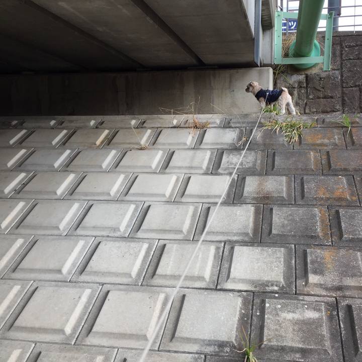 C7684b06 6a8c 468e b110 8c6e91e6d376 1549344788924