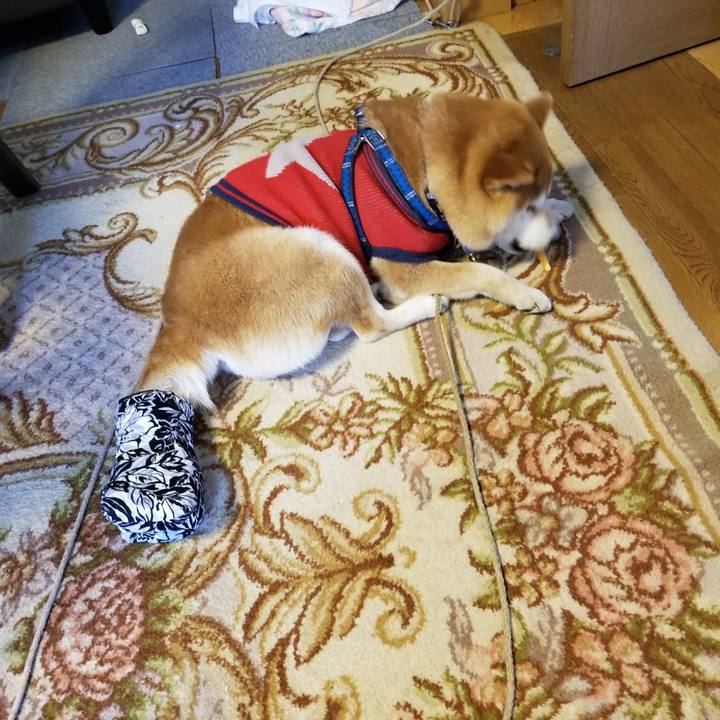 C76878e5 c252 4465 b4fe b60219d2cca5 1552544415543