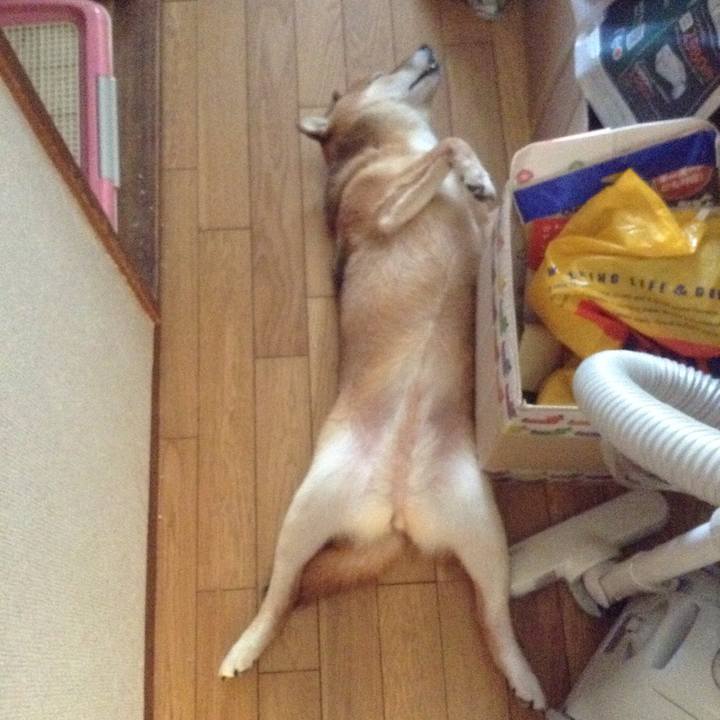 C768a5aa a9f8 4107 80e6 d55ec2d70743 1530253836948