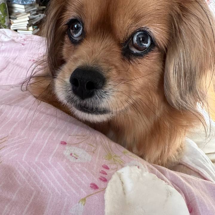 C768cb9d 46f8 4e37 94c3 efc3ead87244 1705282119110