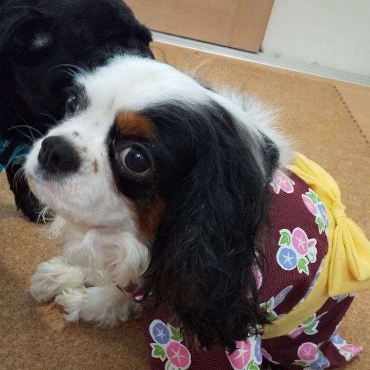 C768f929 0709 46da a05e 4e3e1ebf4339 1565350688439