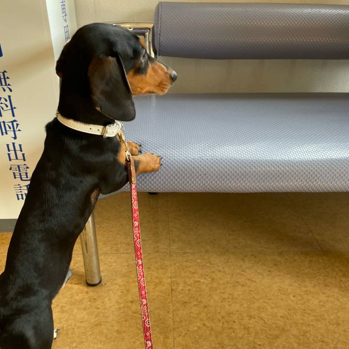 C7690a37 95d7 4133 b0a4 4d2f077288b7 1643767704084