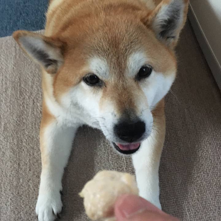 C7691feb d569 4f44 aeb0 1edeb743241c 1616743338660