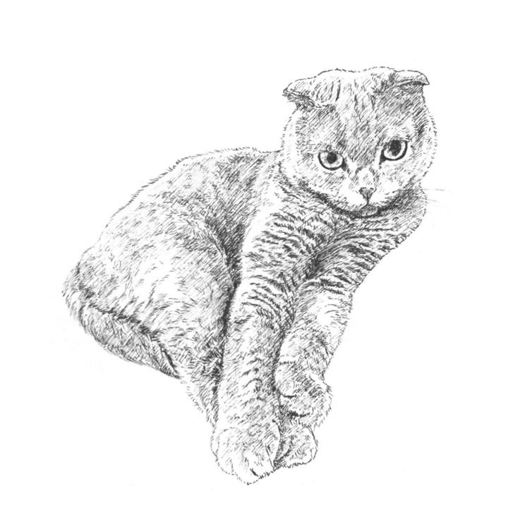 C76926a4 e404 48e4 a27d 8d3592f5b67c 1587565442378