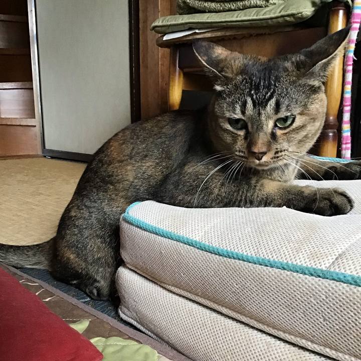 C76936af 6b0e 47d1 b807 ccf1f817292b 1663817811347