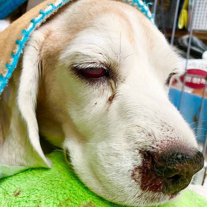 C76952f9 2dc7 40f7 bc50 de236be6dc04 1668140000077