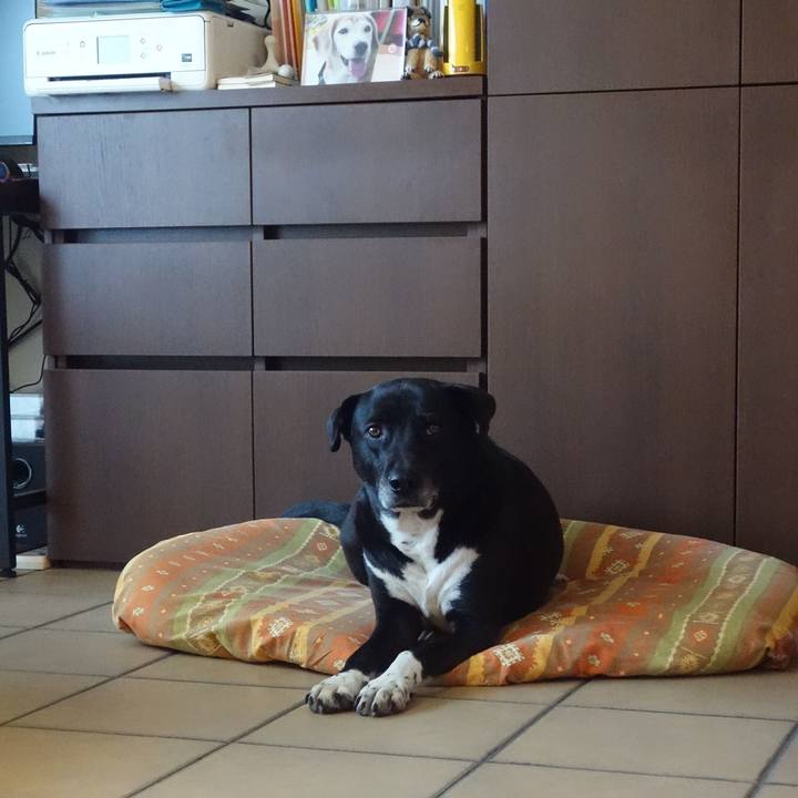 C7696e8c 893b 4611 8d2e 3bff869c188e 1683678876068