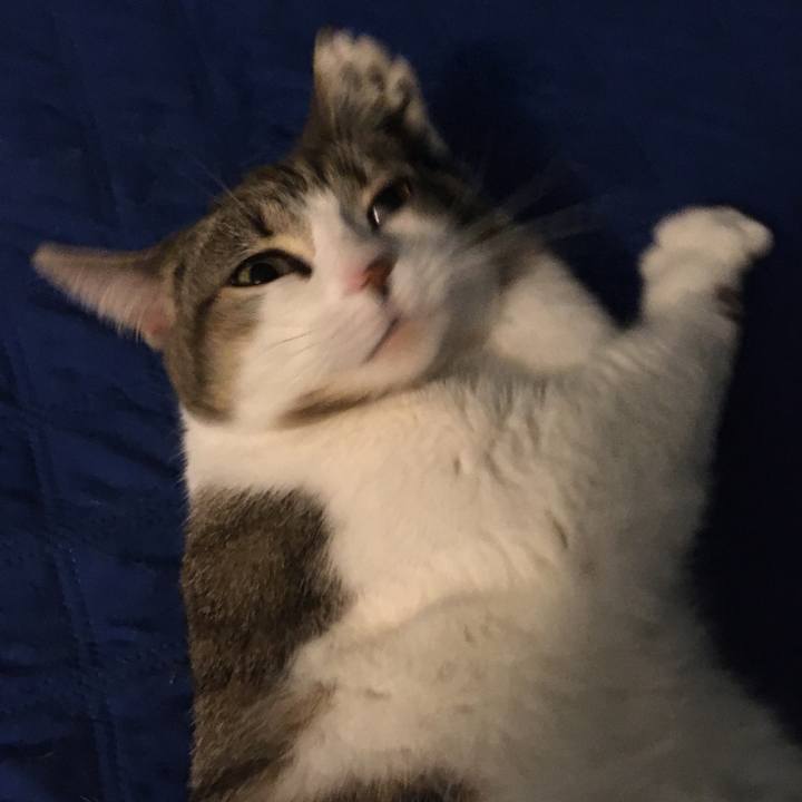 C7697fd0 7f94 49ee a1fa 8582feeada3f 1621342393179