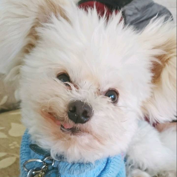 C7698436 c84e 4c27 92dd 68098664cbb4 1517980994394