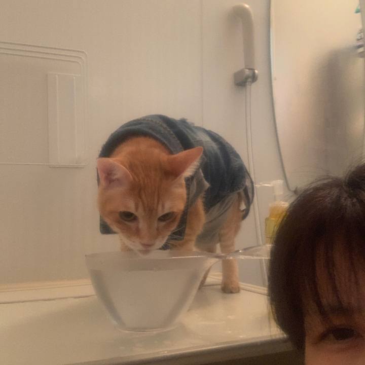 C76988b1 b87f 4964 ace7 69cf82278163 1644151073590