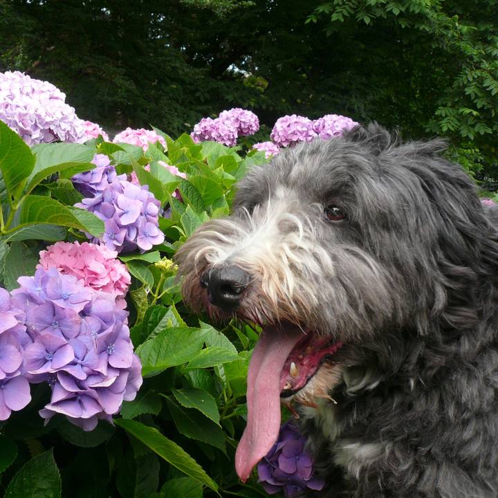 C7699970 a321 4080 a2a9 ec31d445f90c 1624075679257