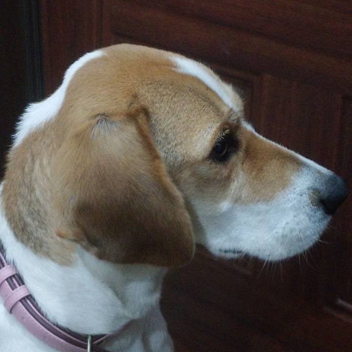 C769ac8f 657b 4be9 9283 0f22a21b48d6 1576896091908