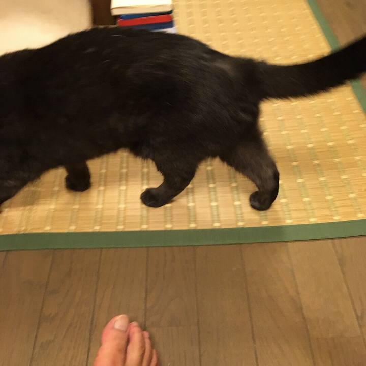 C769afc7 919a 44e2 a862 313c537a72b8 1533318645546