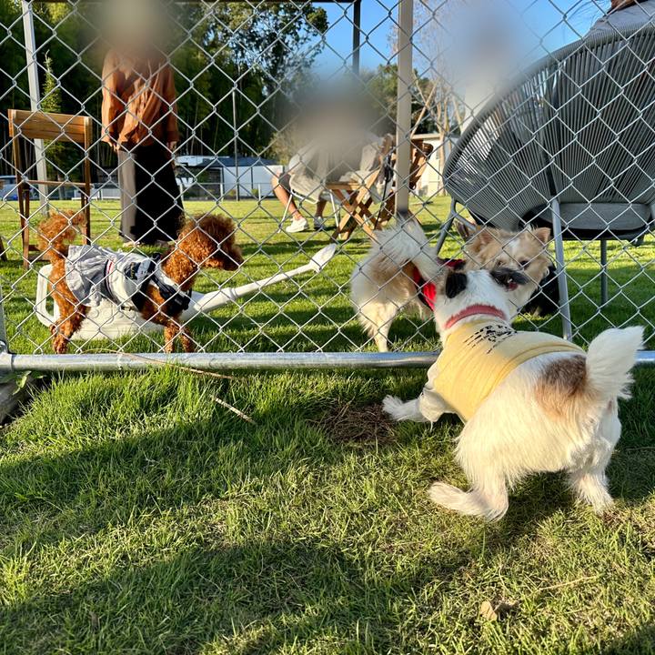 C769ef65 95fa 4d26 8d55 02882171603b 1695551228427