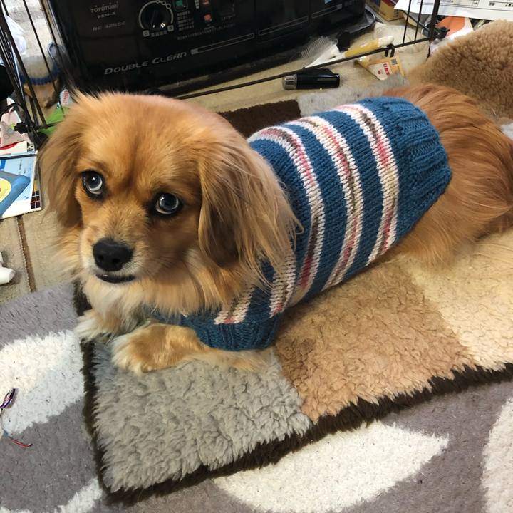 C76a2d7e b14e 4293 989c b94318799dcb 1549498171511