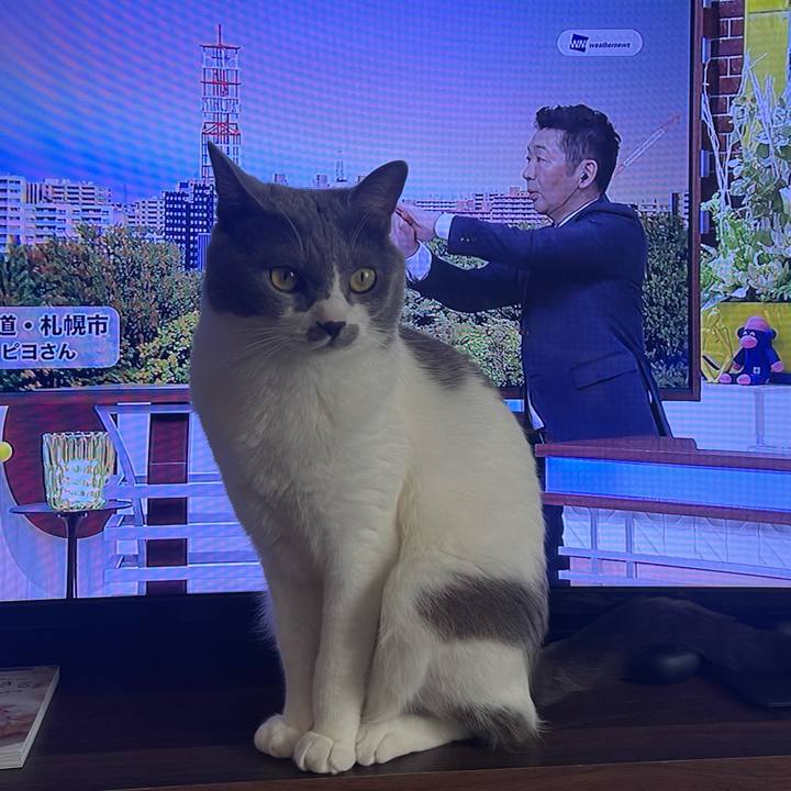 C76a387f 884a 498f b84f e48cecf6252a 1665470703445