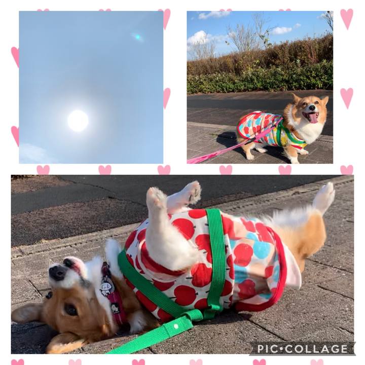 C76a48a5 381a 4276 9138 5f54e0ab9b17 1605771071500