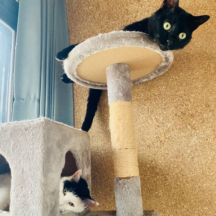 C76a5ac0 f0e6 4174 9d48 60686ba83427 1687990936919