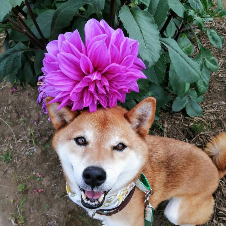 C76a98d9 3f5f 49c8 84a5 dc0a3c3677d0 1623568915907