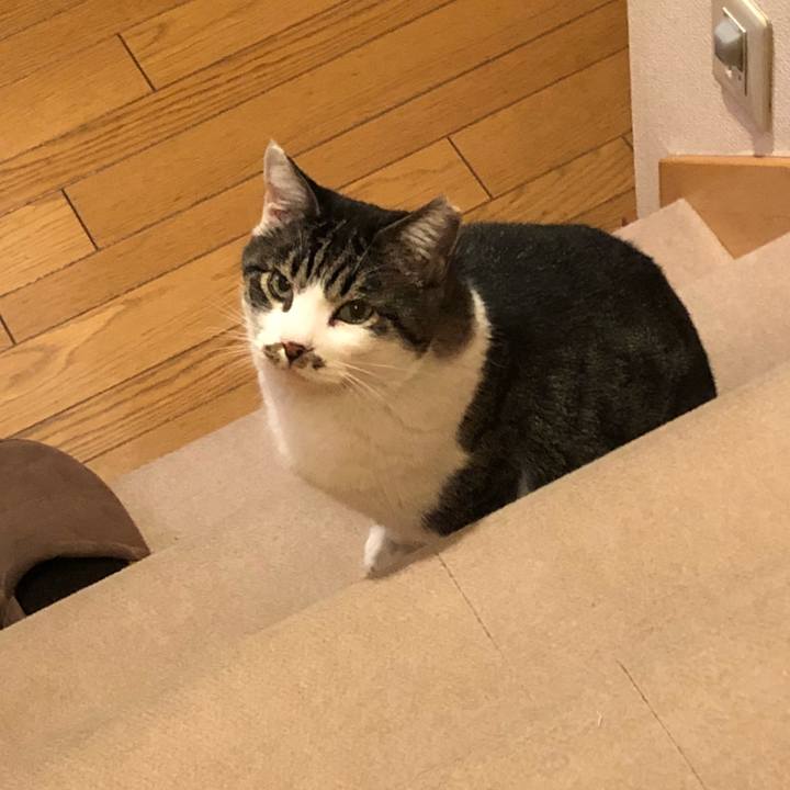 C76aa58c 8d96 4c8b 85ff 4a12a08ab0f4 1543889363448