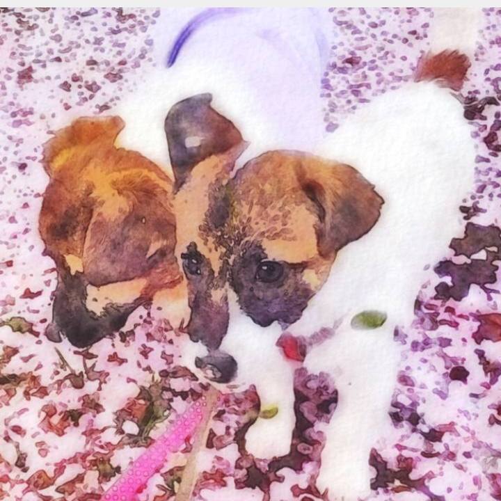 C76ad899 a5c8 4435 95f3 43067e7c4b91 1523537331109