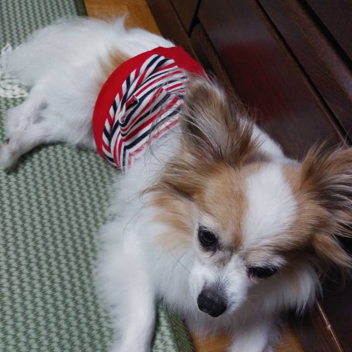 C76adafc f003 469b be23 edc5adcfa75a 1533815647450