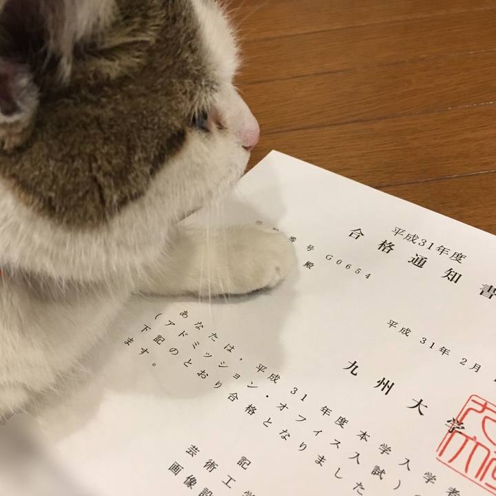 C76b05d6 050b 4a4e 8124 1e31caaec482 1550137833170