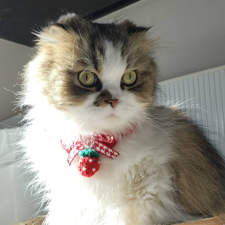 C76b0ddf 6b6d 4899 8556 682313e61d11 1766908237280