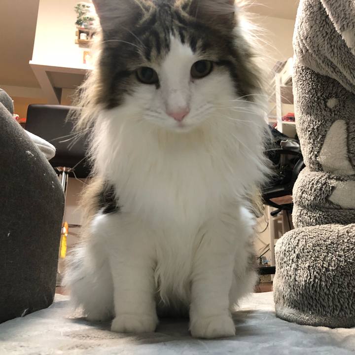 C76b5e75 3c72 4bec b64c 5747f9d078b8 1525144964937