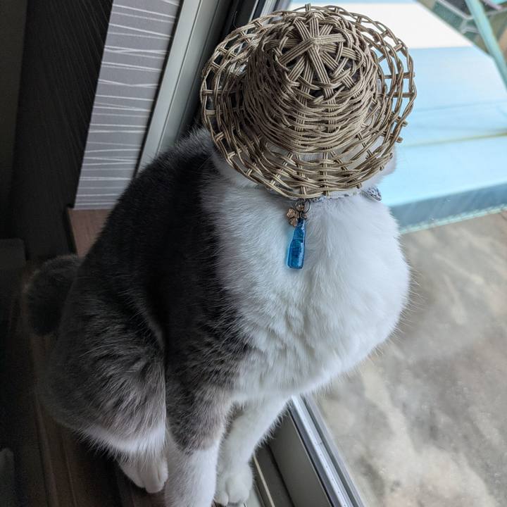 C76b6db2 31bc 42ad bf18 6d4bbbd3dcd9 1752633356626