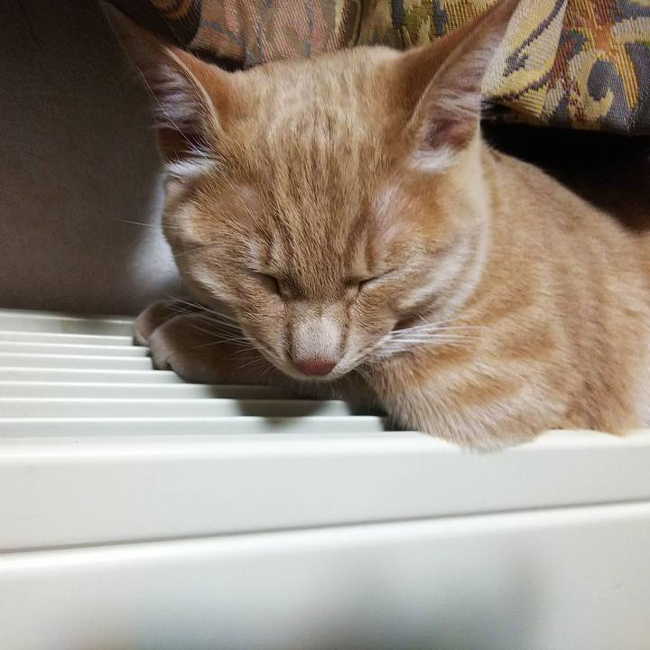 C76b7d67 eb70 4929 af86 ae6fcde33b32 1549705353992