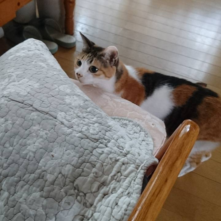 C76b7de4 3d4c 4a53 a092 fcb0eb17417b 1566609502009