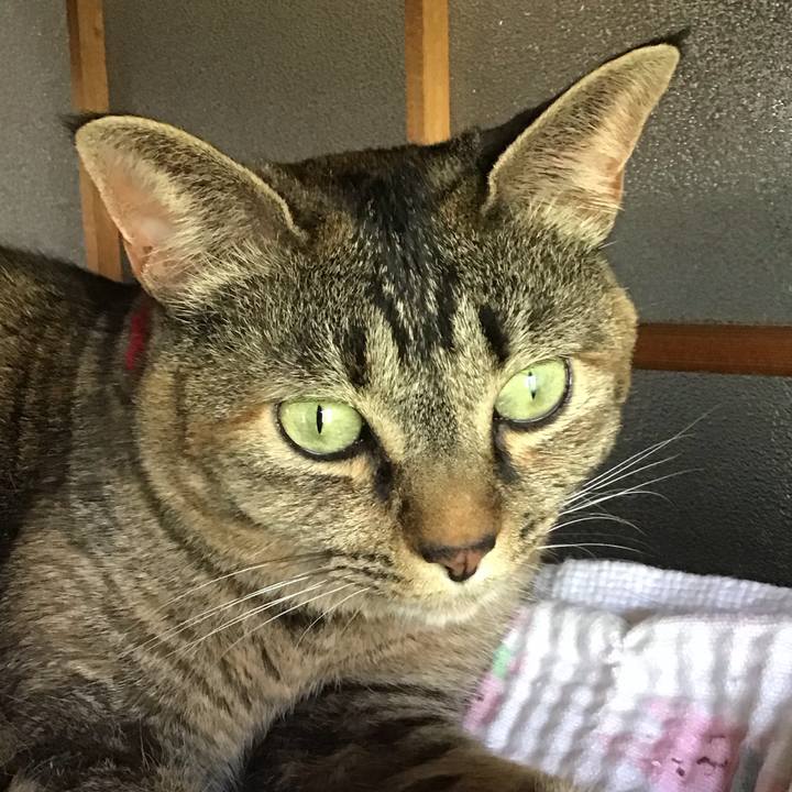 C76b7e66 f1eb 4897 8998 163abc002deb 1684671794625