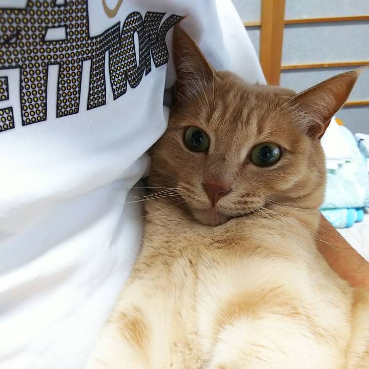 C76b8ace bf5f 4f1d b0a9 250f3a38a907 1651635894270