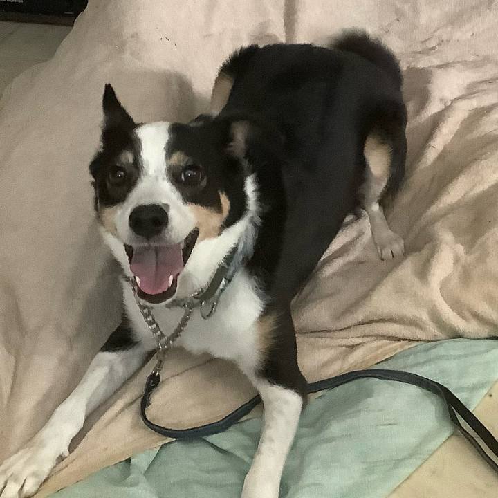 C76b8c7d 667d 4deb bf27 affef17e1364 1711795889698