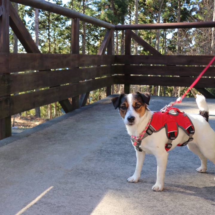 C76bb1d4 80ee 40ba bf12 30dd9425d927 1515908579916