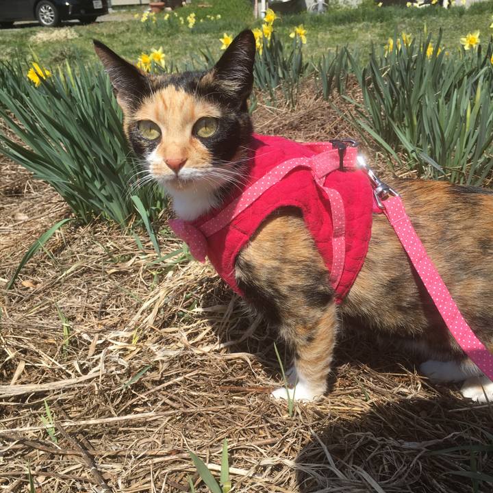 C76bc65b 97c4 40dc ad0e 100ab55987fc 1522904084880