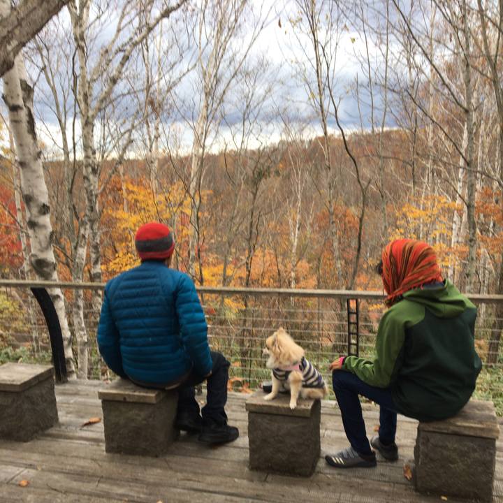 C76bfc7e a6d1 4bad b3cd b862422c1e69 1540778314028