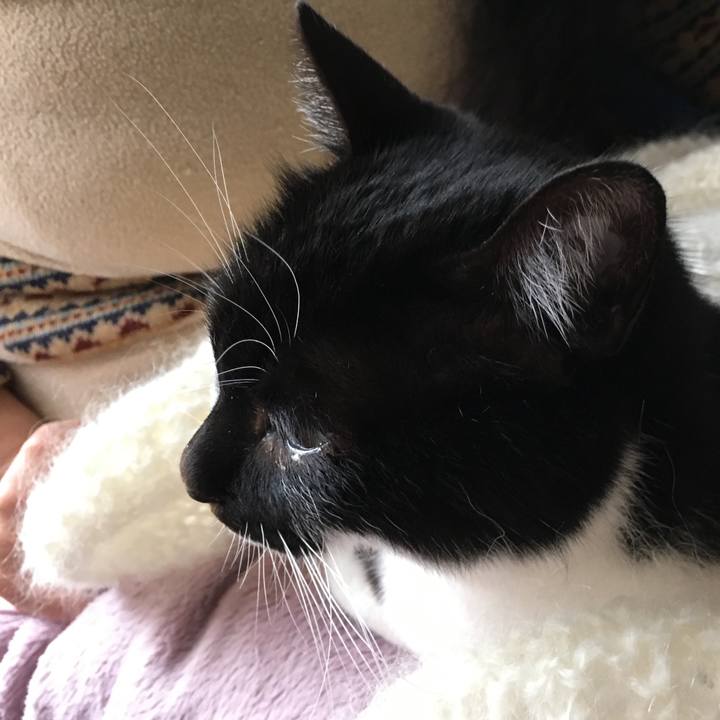 C76c15ba 5c06 40c1 b480 baecab0f7de0 1521800313145