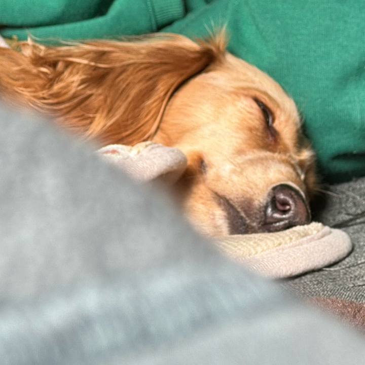 C76c16b6 863c 45ff 9b59 174e05e9e6f4 1704081339155