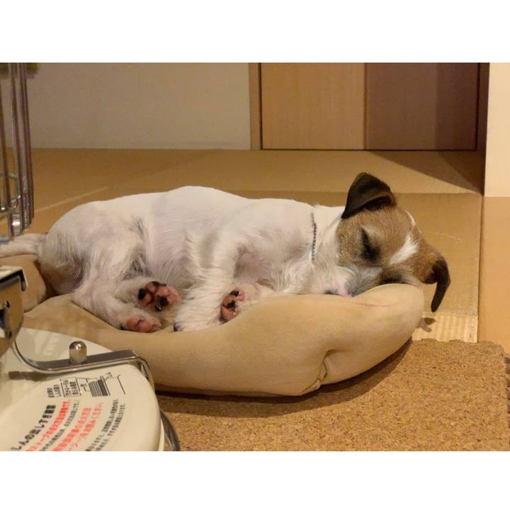 C76c64af 7944 4ceb b80a 4e33662d4772 1587207854064