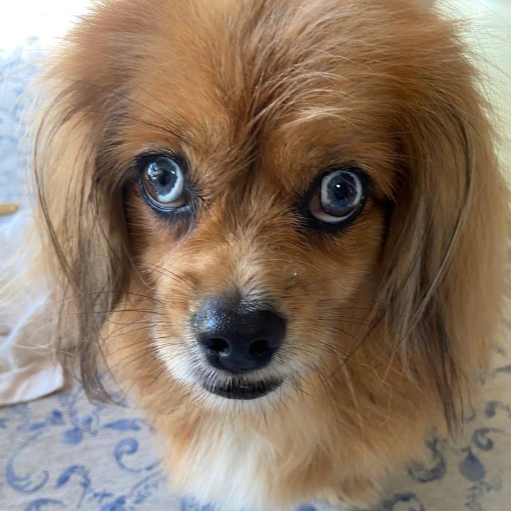 C76c7e2c 022f 4216 98fe 154b032b62b9 1630110882631