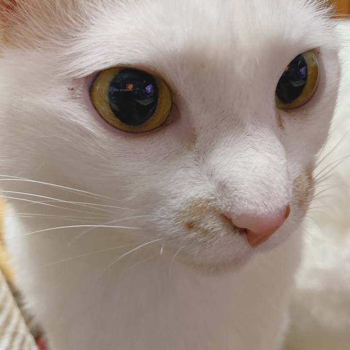 C76cb141 e0bf 4e21 90b5 ddf98ac02f89 1586183376101