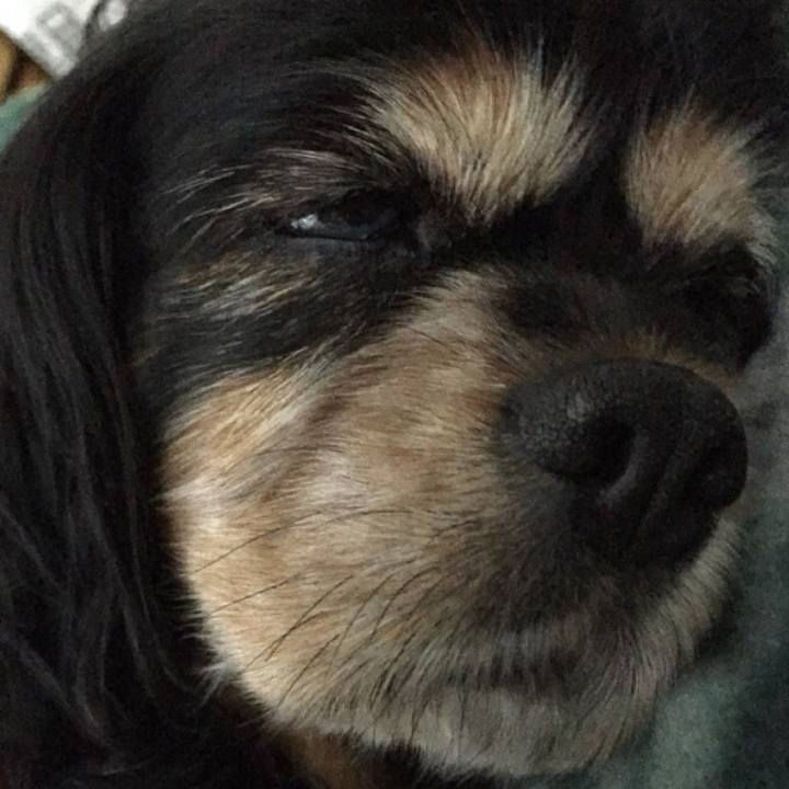 C76cd0b4 f858 482f a408 1ca5277f36b7 1549287101105