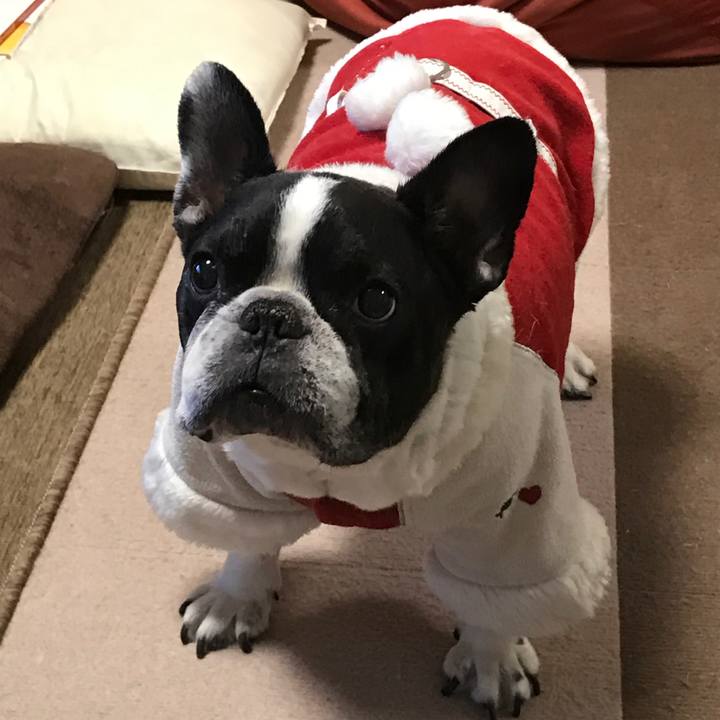 C76d258d 9e5d 4783 959b 0c7cc73684fc 1545121267117