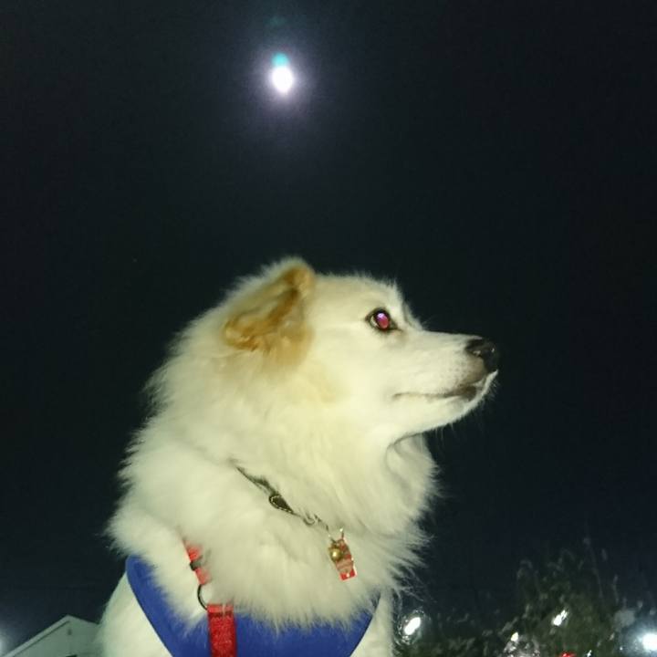 C76d50c7 efa5 4bf5 b4db a55af9c460ed 1512212293748